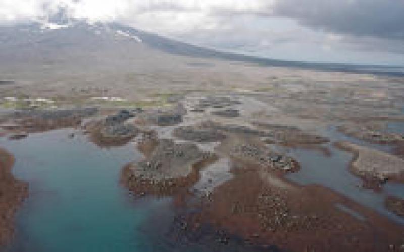 阿拉斯加州尋求土地提名以進行潛在的地?zé)嶙赓U銷售