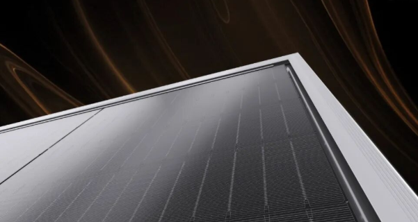 晶科能源飛虎3高效組件供應法國分布式光伏市場